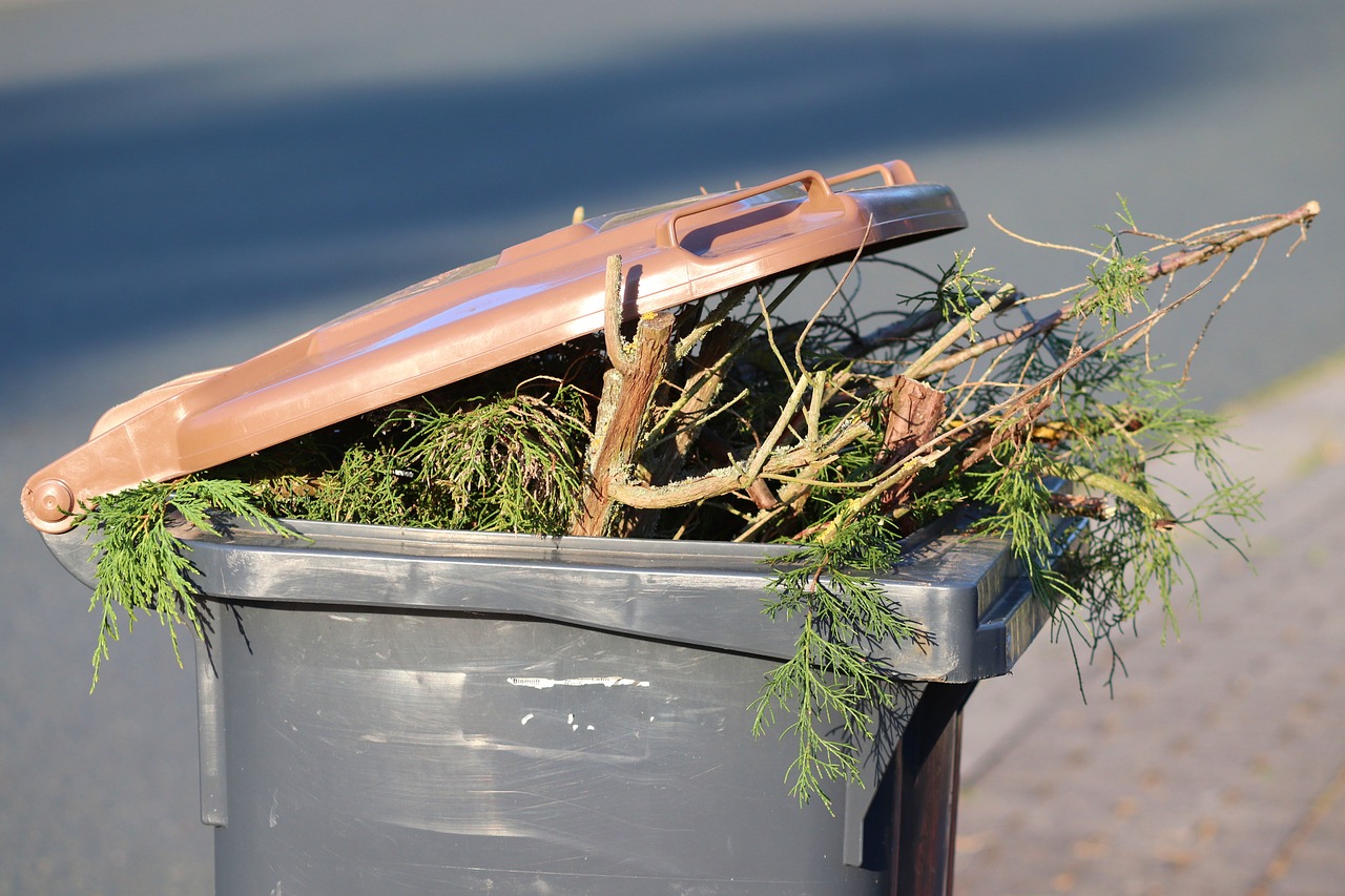 Kontener na odpady zielone – październik